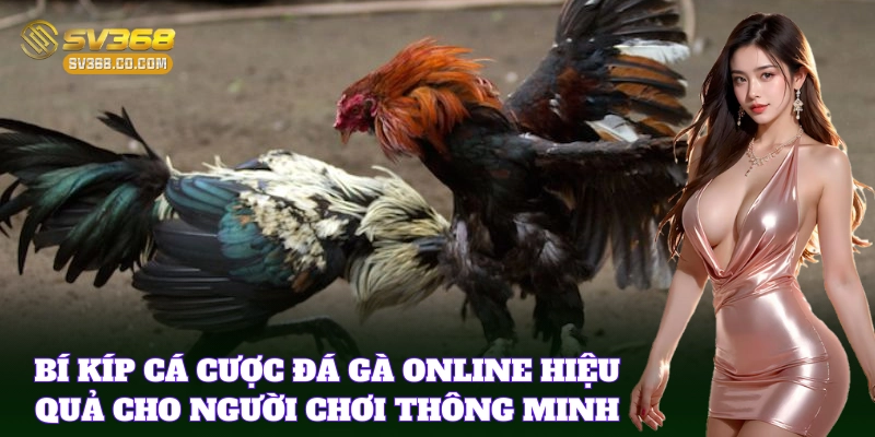 Bí kíp cá cược đá gà hiệu quả cho bet thủ
