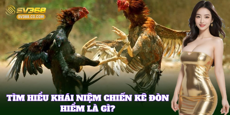 Chiến Kê Đòn Hiểm nổi bật trong giới đá gà