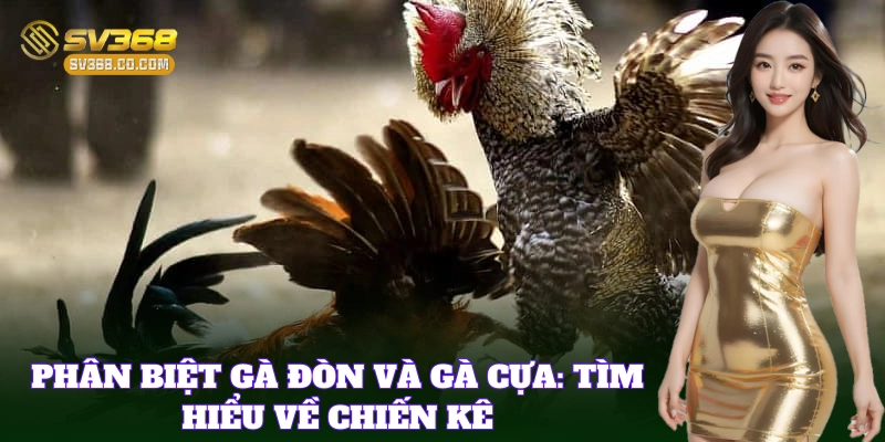 Phân Biệt Gà Đòn Và Gà Cựa dễ hiểu