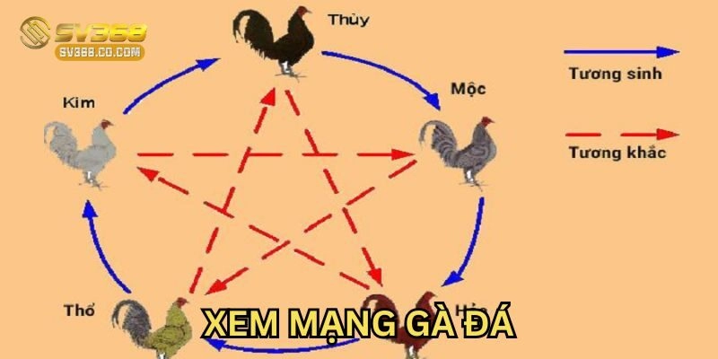 Ngày tháng trong Xem Mạng Gà Đá